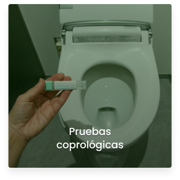 Cosmitet Ltda - Servicios, pruebas coprologicas