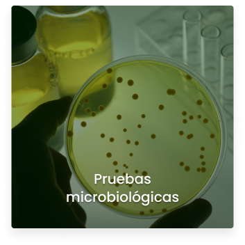 Cosmitet Ltda - Servicios, pruebas microbiologicas