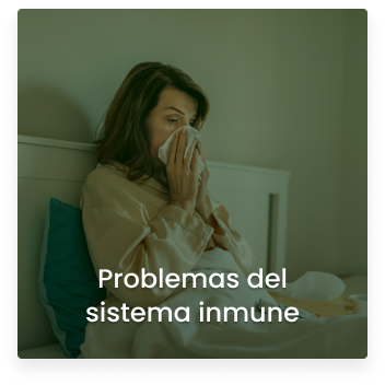 Cosmitet Ltda, Servicios hospitalización
