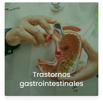 Cosmitet Ltda, Servicios hospitalización