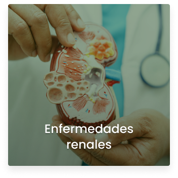 Cosmitet Ltda, Servicios hospitalización