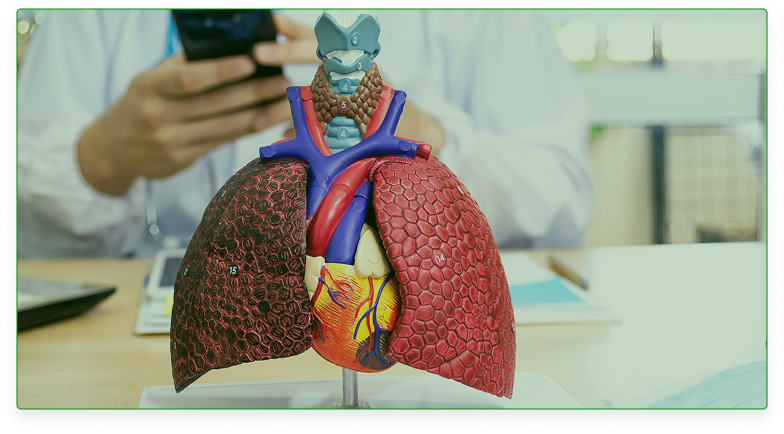 Cosmitet Ltda, Educación al paciente, enfermedades respiratorias