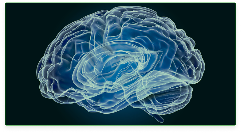 Cosmitet Ltda, Riesgos y cuidados al cerebro